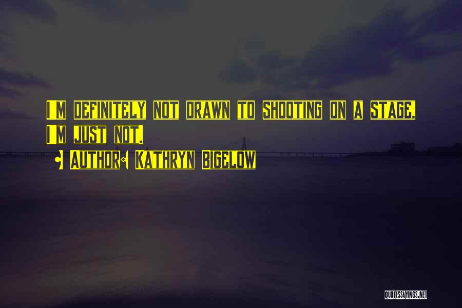 Kathryn Bigelow Quotes: I'm Definitely Not Drawn To Shooting On A Stage, I'm Just Not.