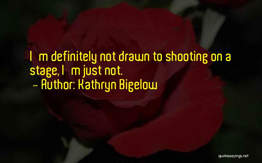 Kathryn Bigelow Quotes: I'm Definitely Not Drawn To Shooting On A Stage, I'm Just Not.
