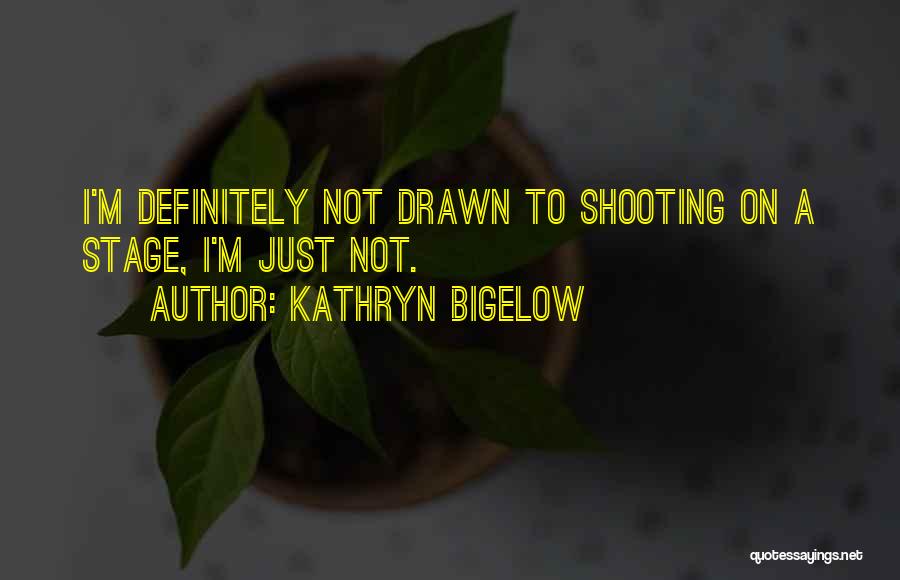 Kathryn Bigelow Quotes: I'm Definitely Not Drawn To Shooting On A Stage, I'm Just Not.
