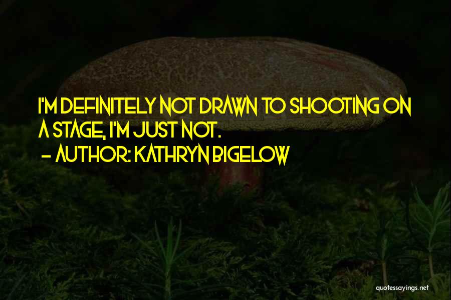Kathryn Bigelow Quotes: I'm Definitely Not Drawn To Shooting On A Stage, I'm Just Not.