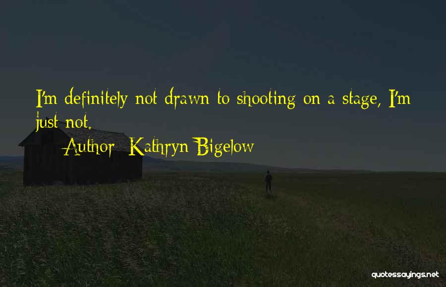Kathryn Bigelow Quotes: I'm Definitely Not Drawn To Shooting On A Stage, I'm Just Not.