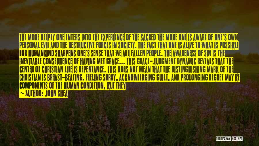 John Shea Quotes: The More Deeply One Enters Into The Experience Of The Sacred The More One Is Aware Of One's Own Personal