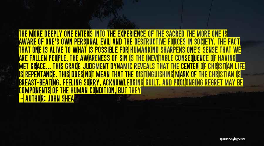 John Shea Quotes: The More Deeply One Enters Into The Experience Of The Sacred The More One Is Aware Of One's Own Personal