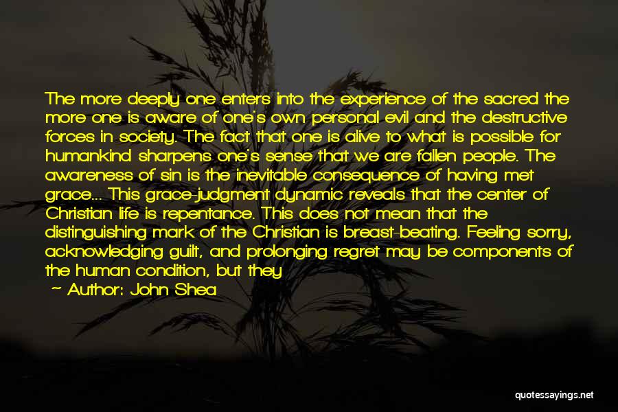 John Shea Quotes: The More Deeply One Enters Into The Experience Of The Sacred The More One Is Aware Of One's Own Personal