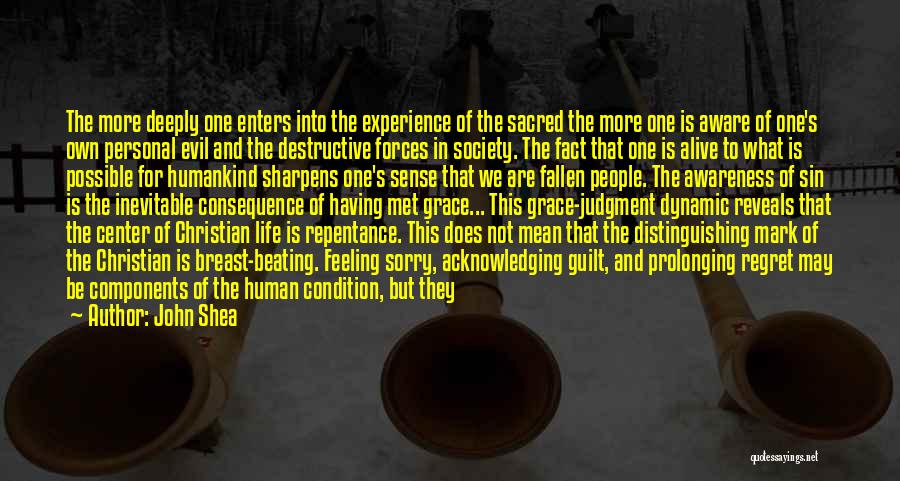 John Shea Quotes: The More Deeply One Enters Into The Experience Of The Sacred The More One Is Aware Of One's Own Personal