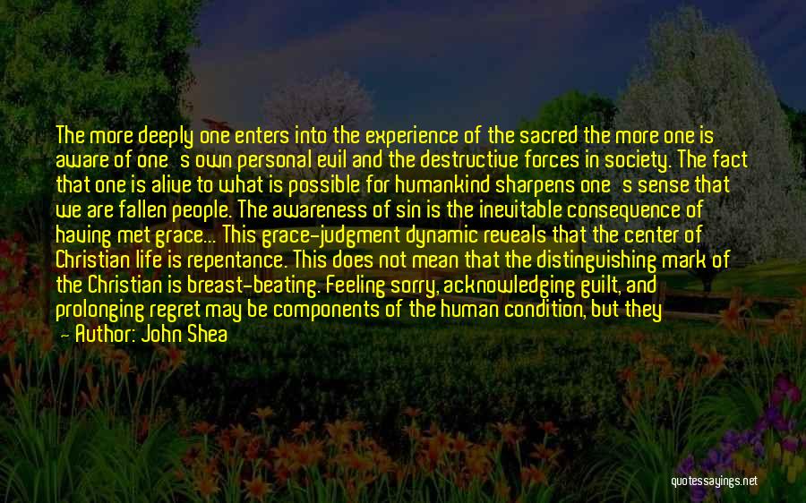 John Shea Quotes: The More Deeply One Enters Into The Experience Of The Sacred The More One Is Aware Of One's Own Personal