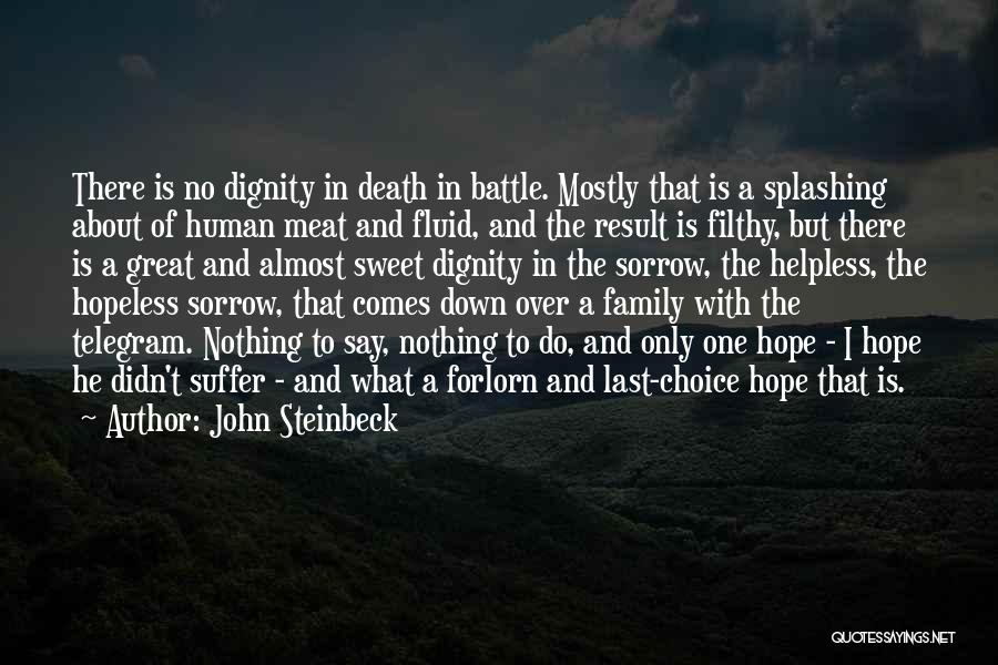 John Steinbeck Quotes: There Is No Dignity In Death In Battle. Mostly That Is A Splashing About Of Human Meat And Fluid, And