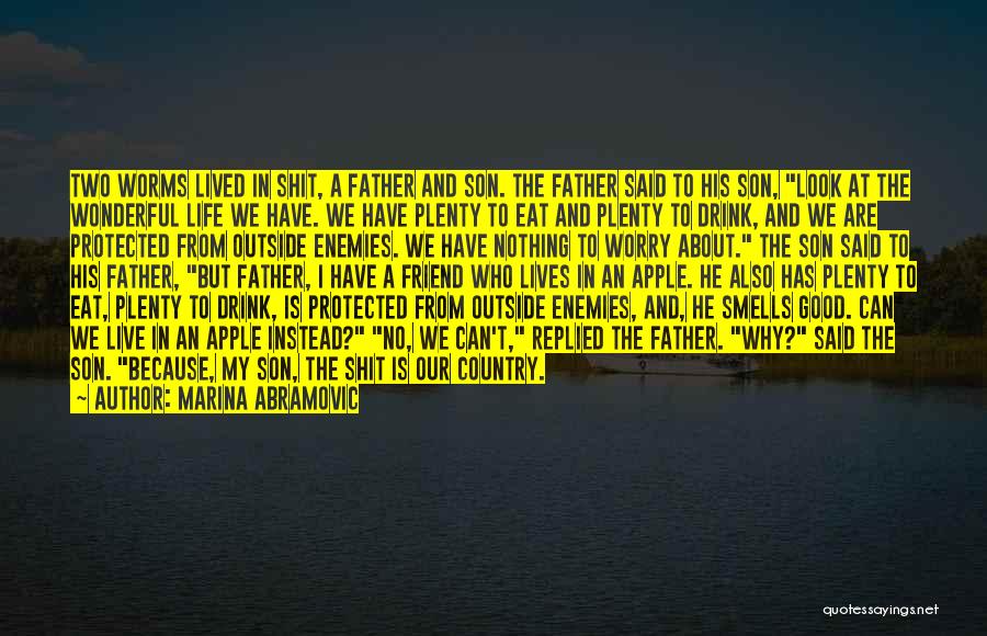 Marina Abramovic Quotes: Two Worms Lived In Shit, A Father And Son. The Father Said To His Son, Look At The Wonderful Life