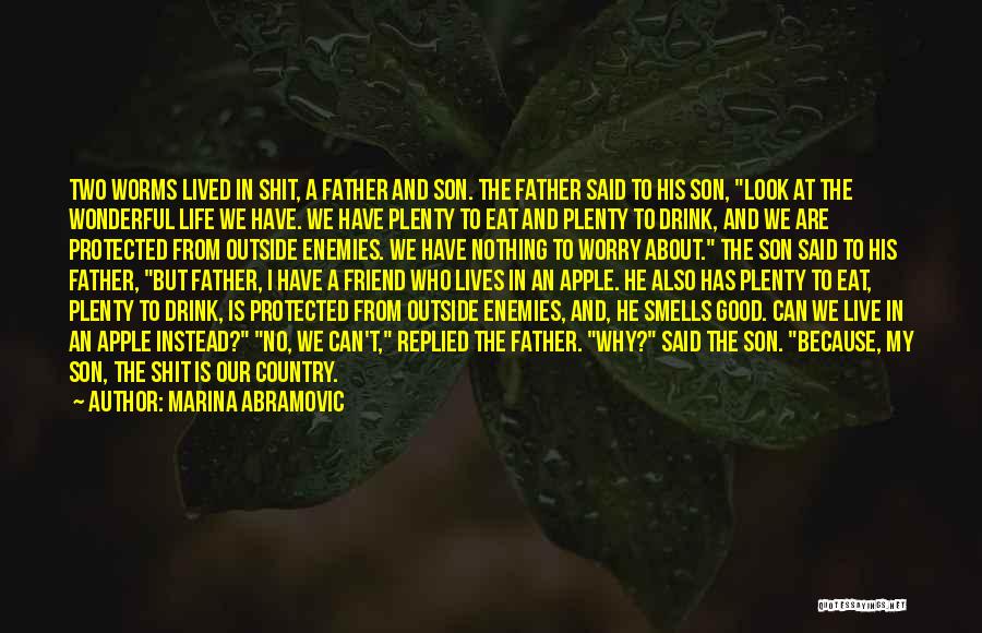 Marina Abramovic Quotes: Two Worms Lived In Shit, A Father And Son. The Father Said To His Son, Look At The Wonderful Life