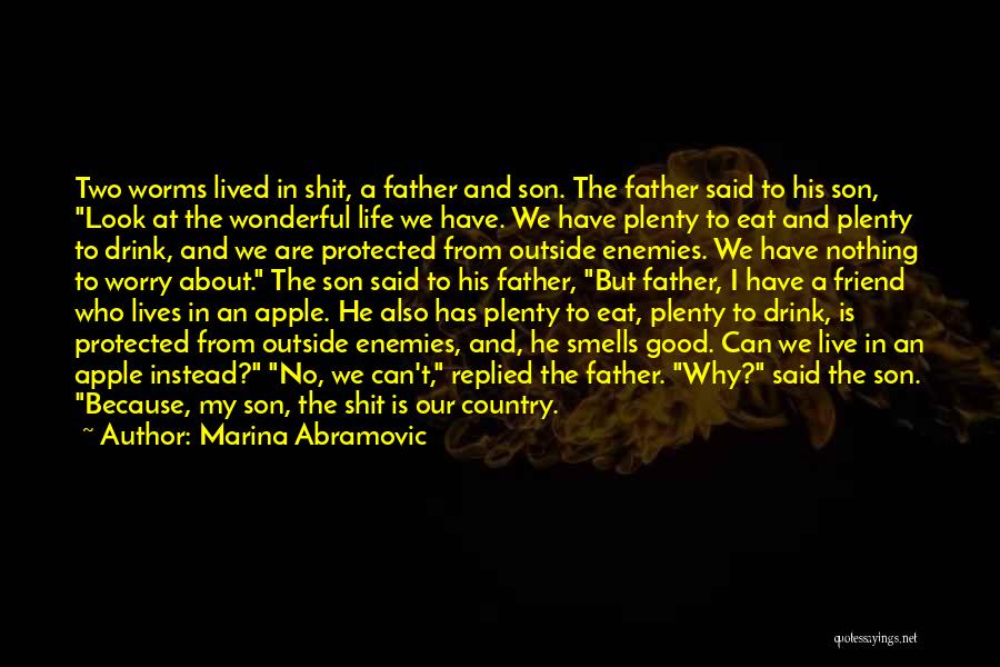 Marina Abramovic Quotes: Two Worms Lived In Shit, A Father And Son. The Father Said To His Son, Look At The Wonderful Life