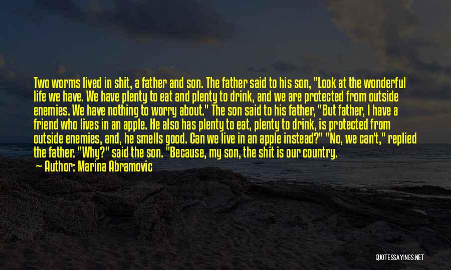 Marina Abramovic Quotes: Two Worms Lived In Shit, A Father And Son. The Father Said To His Son, Look At The Wonderful Life