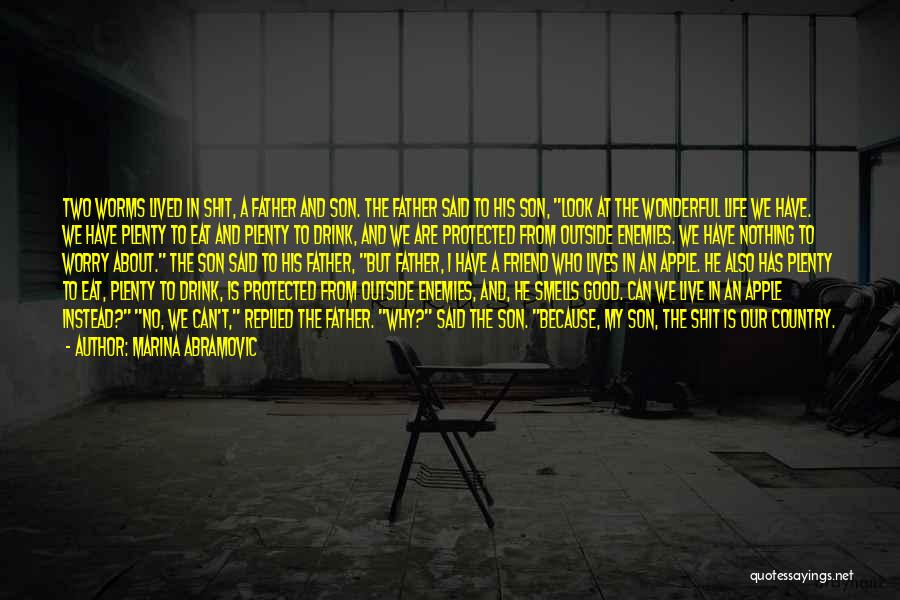 Marina Abramovic Quotes: Two Worms Lived In Shit, A Father And Son. The Father Said To His Son, Look At The Wonderful Life