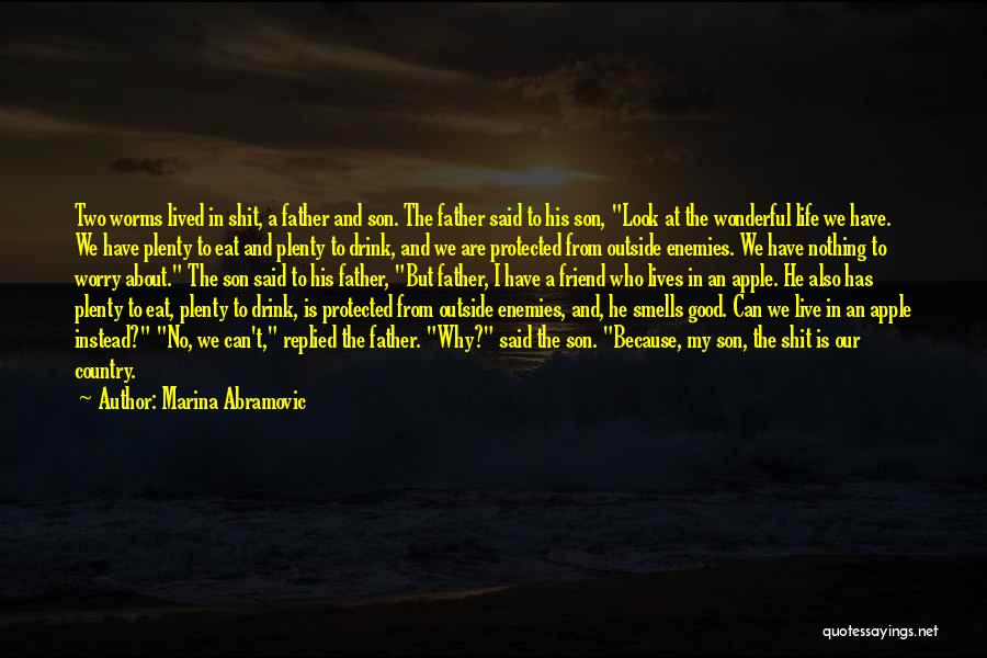 Marina Abramovic Quotes: Two Worms Lived In Shit, A Father And Son. The Father Said To His Son, Look At The Wonderful Life