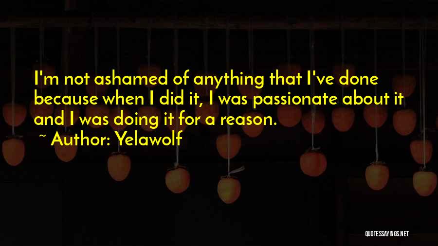 Yelawolf Quotes: I'm Not Ashamed Of Anything That I've Done Because When I Did It, I Was Passionate About It And I