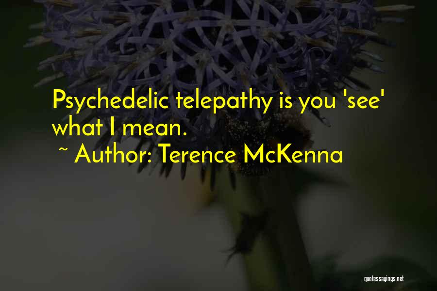 Terence McKenna Quotes: Psychedelic Telepathy Is You 'see' What I Mean.