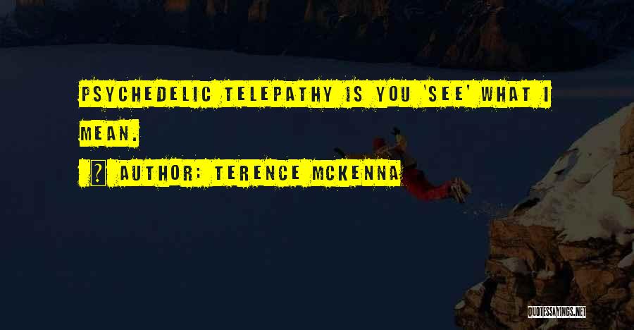 Terence McKenna Quotes: Psychedelic Telepathy Is You 'see' What I Mean.