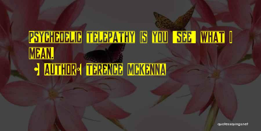 Terence McKenna Quotes: Psychedelic Telepathy Is You 'see' What I Mean.