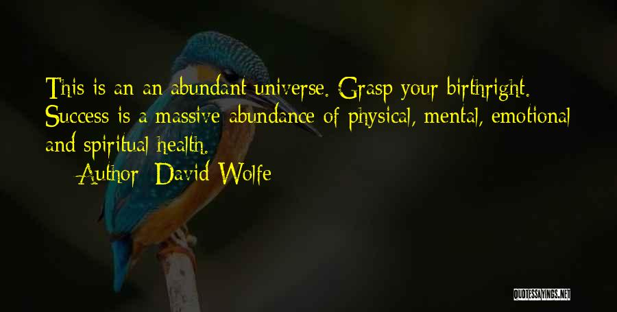 David Wolfe Quotes: This Is An An Abundant Universe. Grasp Your Birthright. Success Is A Massive Abundance Of Physical, Mental, Emotional And Spiritual