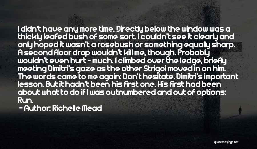 Richelle Mead Quotes: I Didn't Have Any More Time. Directly Below The Window Was A Thickly Leafed Bush Of Some Sort. I Couldn't