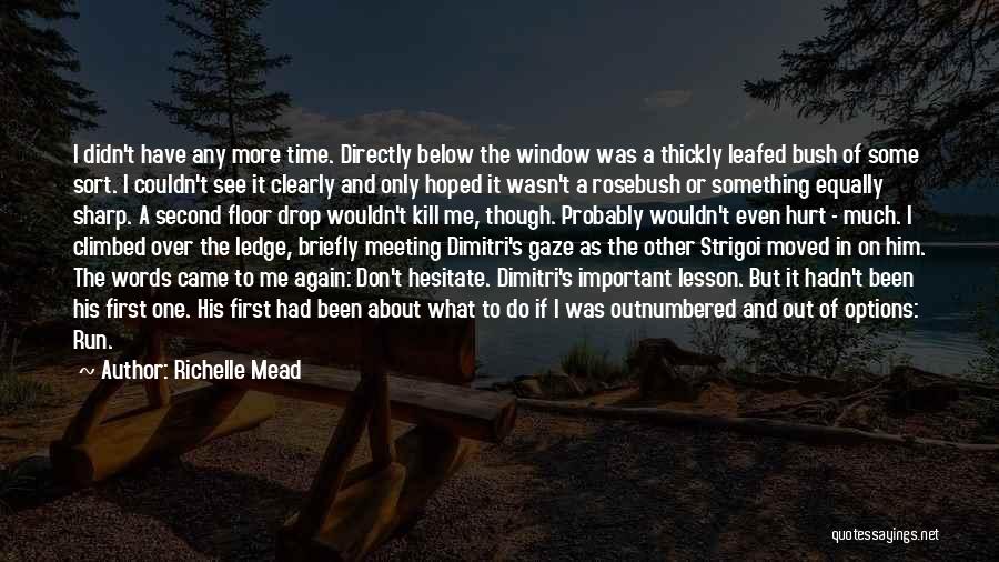 Richelle Mead Quotes: I Didn't Have Any More Time. Directly Below The Window Was A Thickly Leafed Bush Of Some Sort. I Couldn't