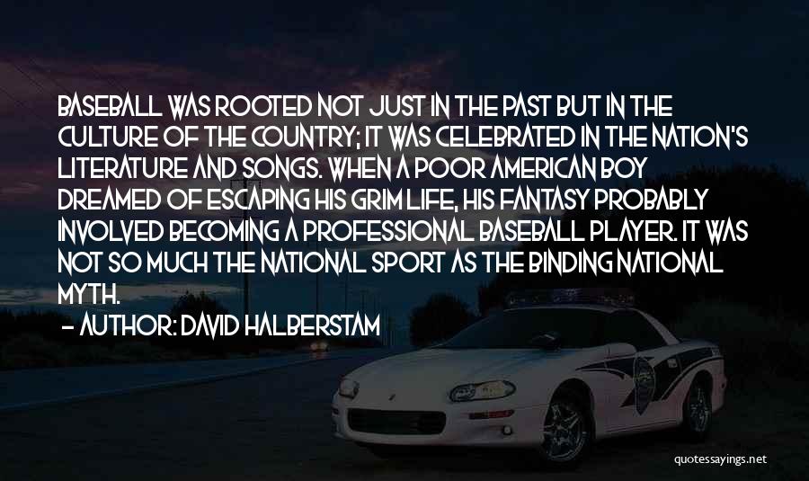 David Halberstam Quotes: Baseball Was Rooted Not Just In The Past But In The Culture Of The Country; It Was Celebrated In The
