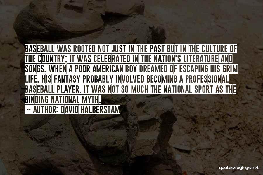 David Halberstam Quotes: Baseball Was Rooted Not Just In The Past But In The Culture Of The Country; It Was Celebrated In The