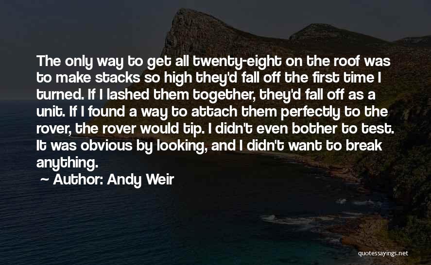 Andy Weir Quotes: The Only Way To Get All Twenty-eight On The Roof Was To Make Stacks So High They'd Fall Off The