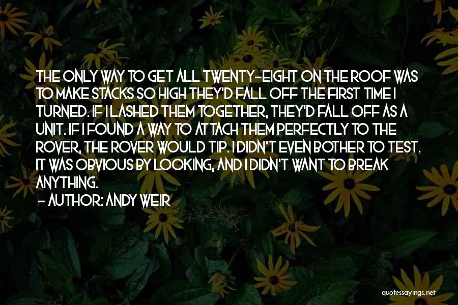 Andy Weir Quotes: The Only Way To Get All Twenty-eight On The Roof Was To Make Stacks So High They'd Fall Off The