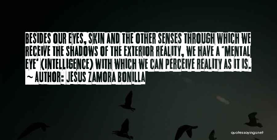 Jesus Zamora Bonilla Quotes: Besides Our Eyes, Skin And The Other Senses Through Which We Receive The Shadows Of The Exterior Reality, We Have