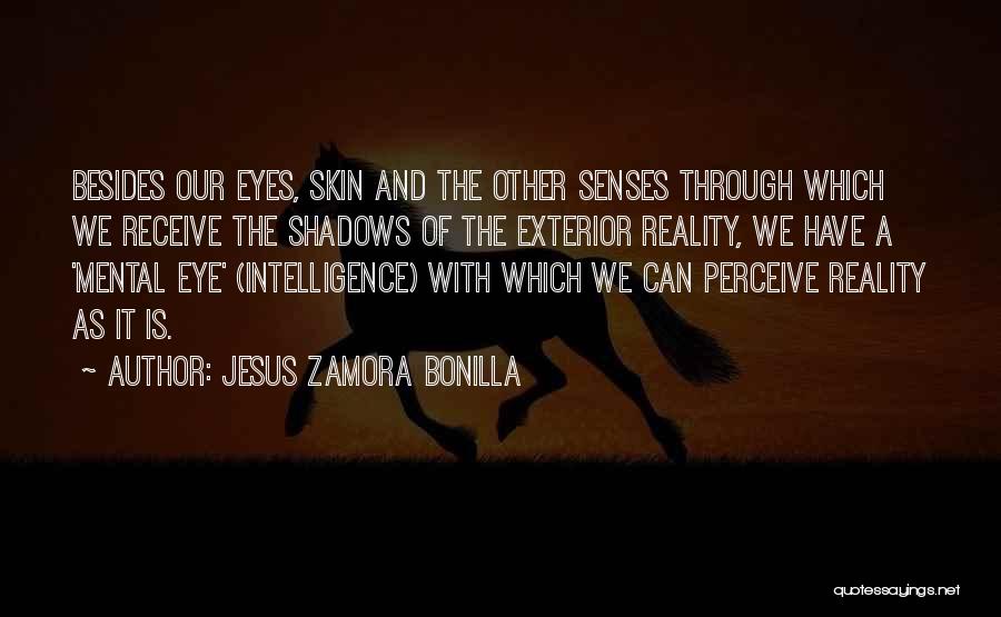Jesus Zamora Bonilla Quotes: Besides Our Eyes, Skin And The Other Senses Through Which We Receive The Shadows Of The Exterior Reality, We Have