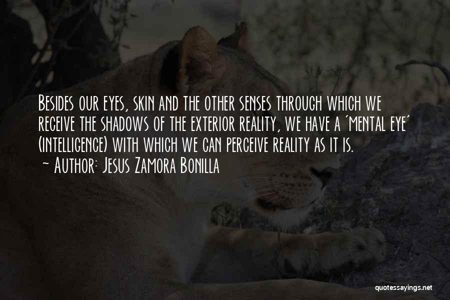 Jesus Zamora Bonilla Quotes: Besides Our Eyes, Skin And The Other Senses Through Which We Receive The Shadows Of The Exterior Reality, We Have