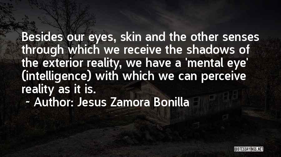 Jesus Zamora Bonilla Quotes: Besides Our Eyes, Skin And The Other Senses Through Which We Receive The Shadows Of The Exterior Reality, We Have