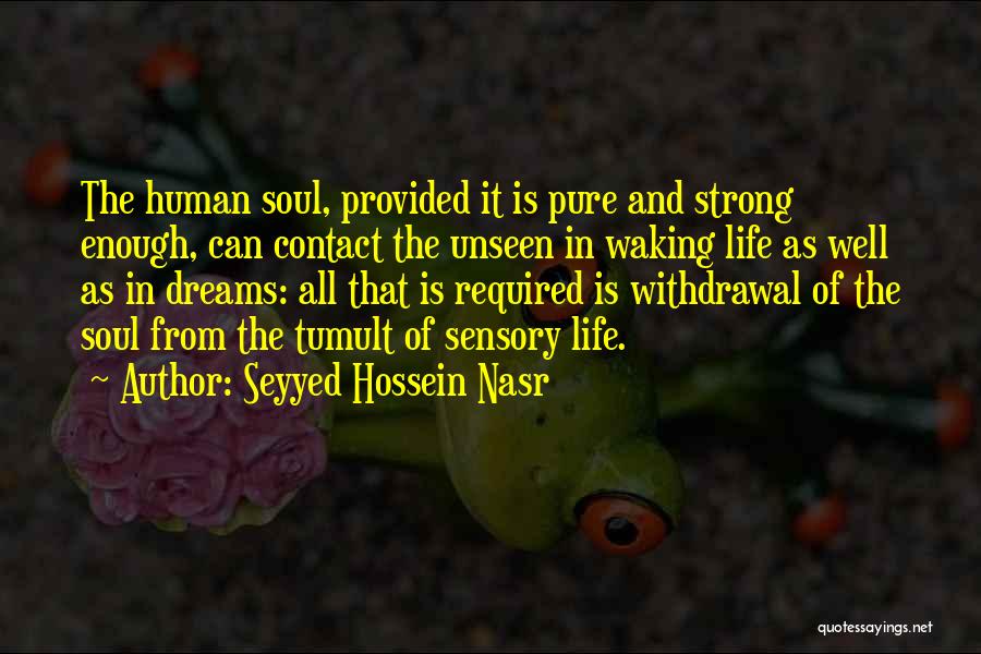 Seyyed Hossein Nasr Quotes: The Human Soul, Provided It Is Pure And Strong Enough, Can Contact The Unseen In Waking Life As Well As