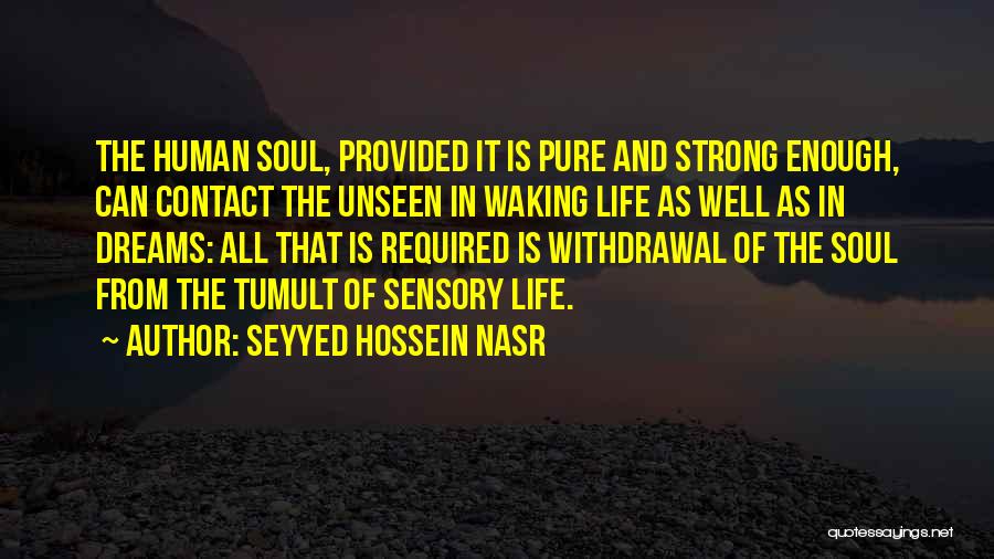 Seyyed Hossein Nasr Quotes: The Human Soul, Provided It Is Pure And Strong Enough, Can Contact The Unseen In Waking Life As Well As