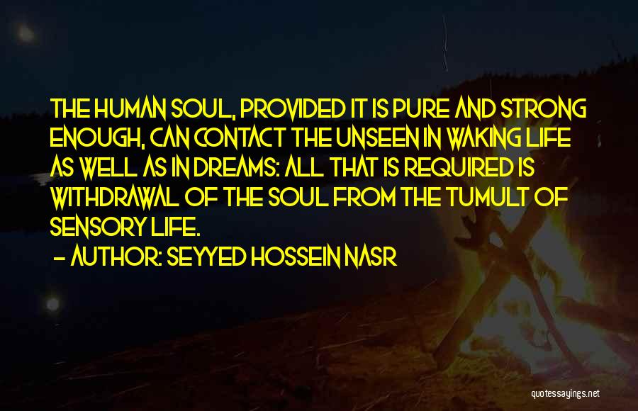 Seyyed Hossein Nasr Quotes: The Human Soul, Provided It Is Pure And Strong Enough, Can Contact The Unseen In Waking Life As Well As