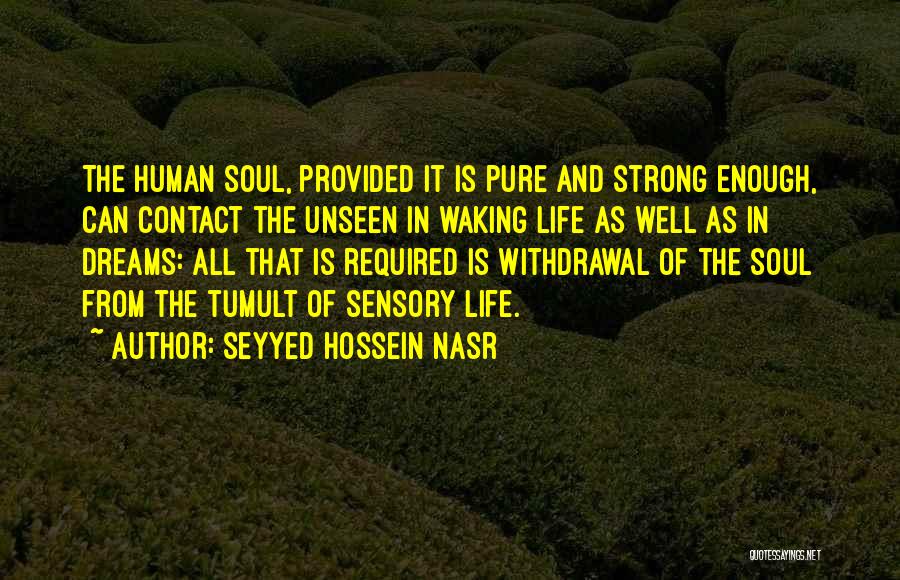 Seyyed Hossein Nasr Quotes: The Human Soul, Provided It Is Pure And Strong Enough, Can Contact The Unseen In Waking Life As Well As