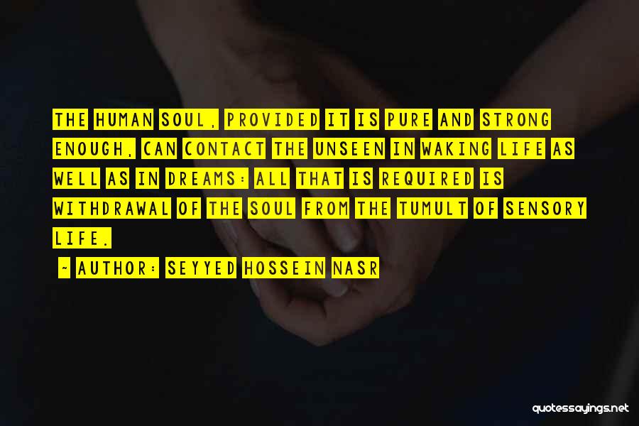 Seyyed Hossein Nasr Quotes: The Human Soul, Provided It Is Pure And Strong Enough, Can Contact The Unseen In Waking Life As Well As