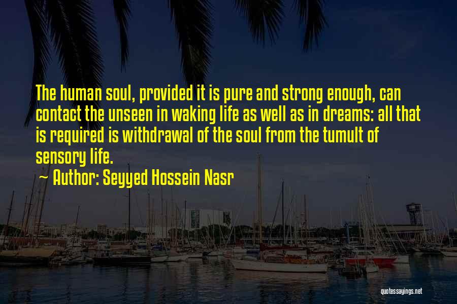Seyyed Hossein Nasr Quotes: The Human Soul, Provided It Is Pure And Strong Enough, Can Contact The Unseen In Waking Life As Well As