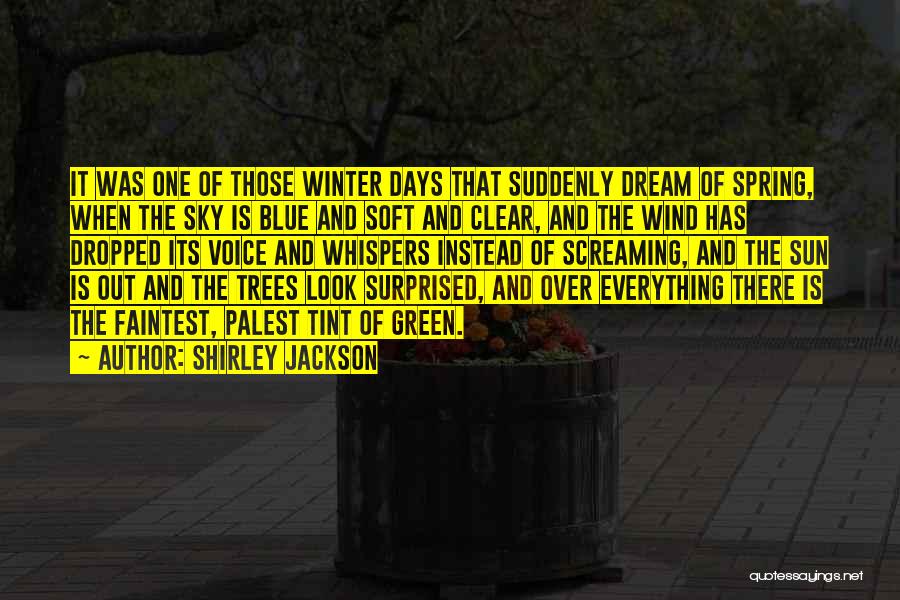 Shirley Jackson Quotes: It Was One Of Those Winter Days That Suddenly Dream Of Spring, When The Sky Is Blue And Soft And