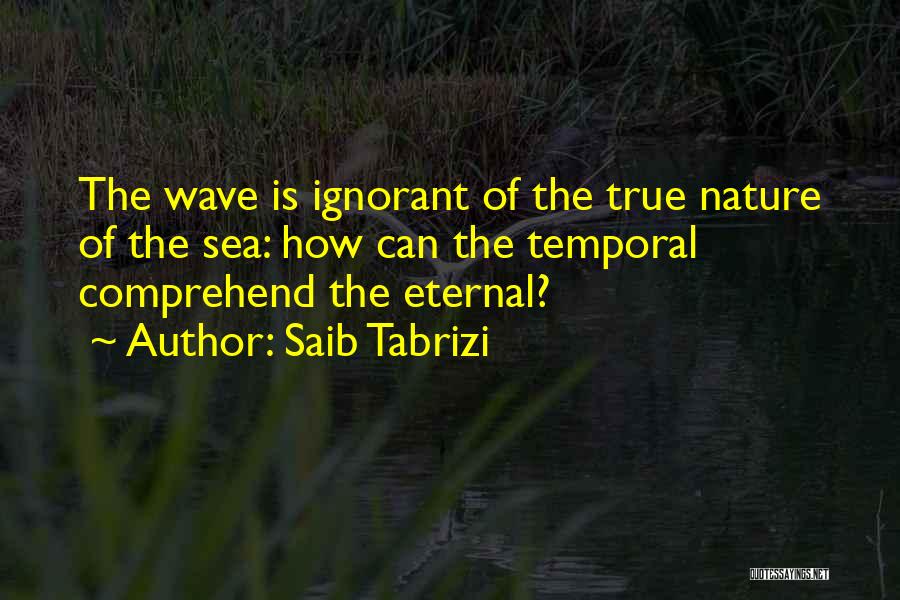 Saib Tabrizi Quotes: The Wave Is Ignorant Of The True Nature Of The Sea: How Can The Temporal Comprehend The Eternal?