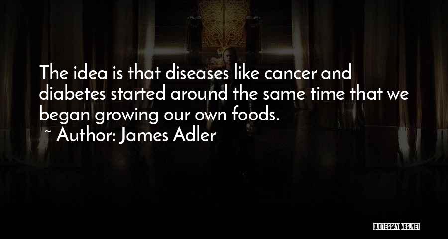James Adler Quotes: The Idea Is That Diseases Like Cancer And Diabetes Started Around The Same Time That We Began Growing Our Own