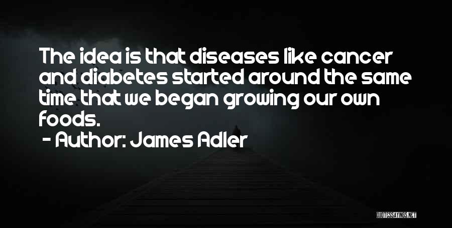 James Adler Quotes: The Idea Is That Diseases Like Cancer And Diabetes Started Around The Same Time That We Began Growing Our Own