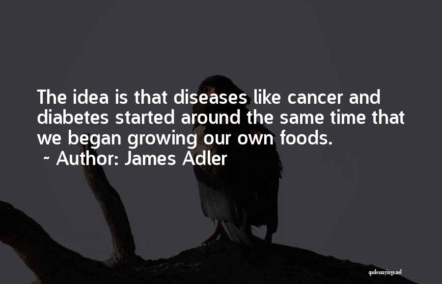 James Adler Quotes: The Idea Is That Diseases Like Cancer And Diabetes Started Around The Same Time That We Began Growing Our Own