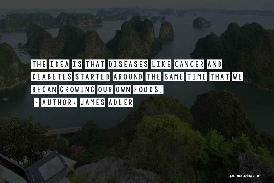 James Adler Quotes: The Idea Is That Diseases Like Cancer And Diabetes Started Around The Same Time That We Began Growing Our Own