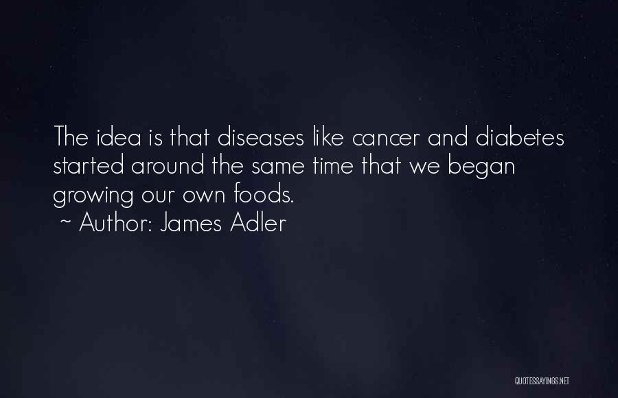 James Adler Quotes: The Idea Is That Diseases Like Cancer And Diabetes Started Around The Same Time That We Began Growing Our Own