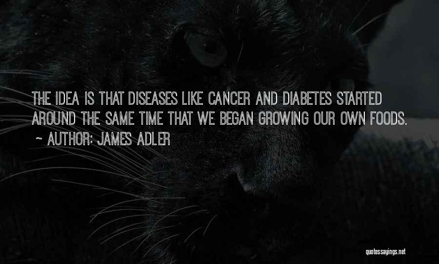 James Adler Quotes: The Idea Is That Diseases Like Cancer And Diabetes Started Around The Same Time That We Began Growing Our Own