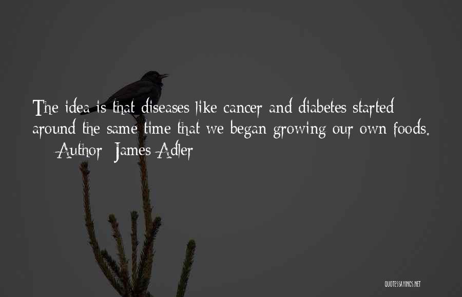James Adler Quotes: The Idea Is That Diseases Like Cancer And Diabetes Started Around The Same Time That We Began Growing Our Own