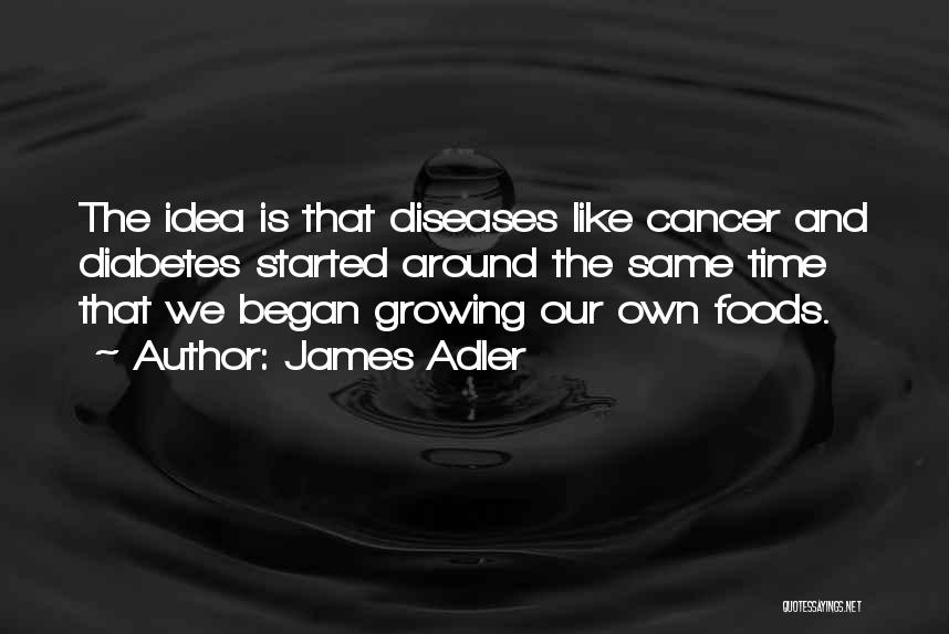 James Adler Quotes: The Idea Is That Diseases Like Cancer And Diabetes Started Around The Same Time That We Began Growing Our Own