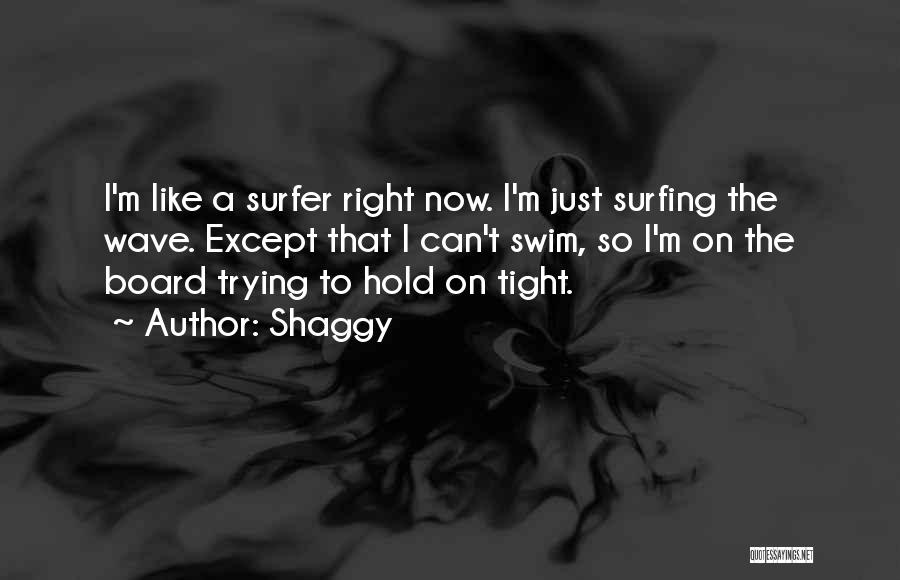 Shaggy Quotes: I'm Like A Surfer Right Now. I'm Just Surfing The Wave. Except That I Can't Swim, So I'm On The