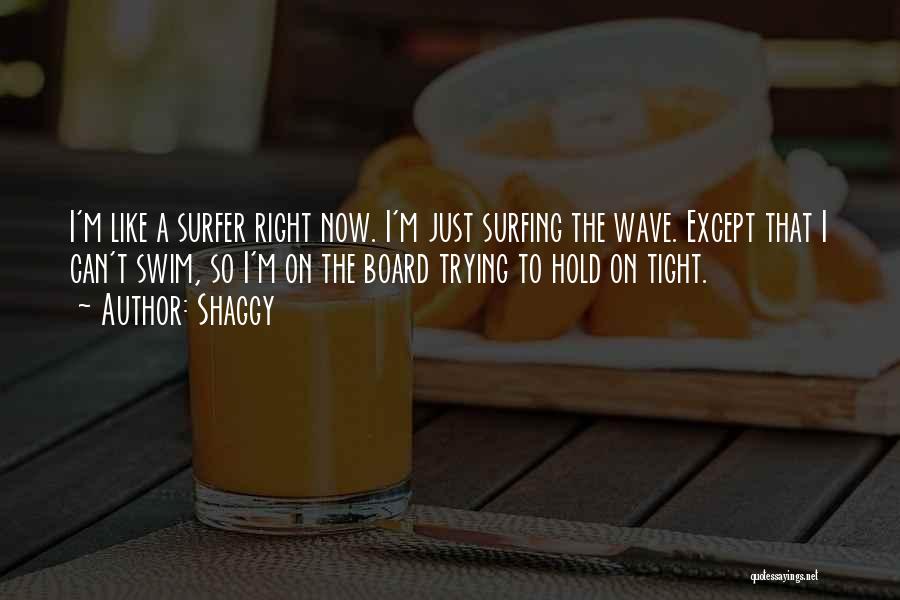 Shaggy Quotes: I'm Like A Surfer Right Now. I'm Just Surfing The Wave. Except That I Can't Swim, So I'm On The